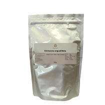 Echinacea angustifolia rad (Coneflower)  Powder 500gms